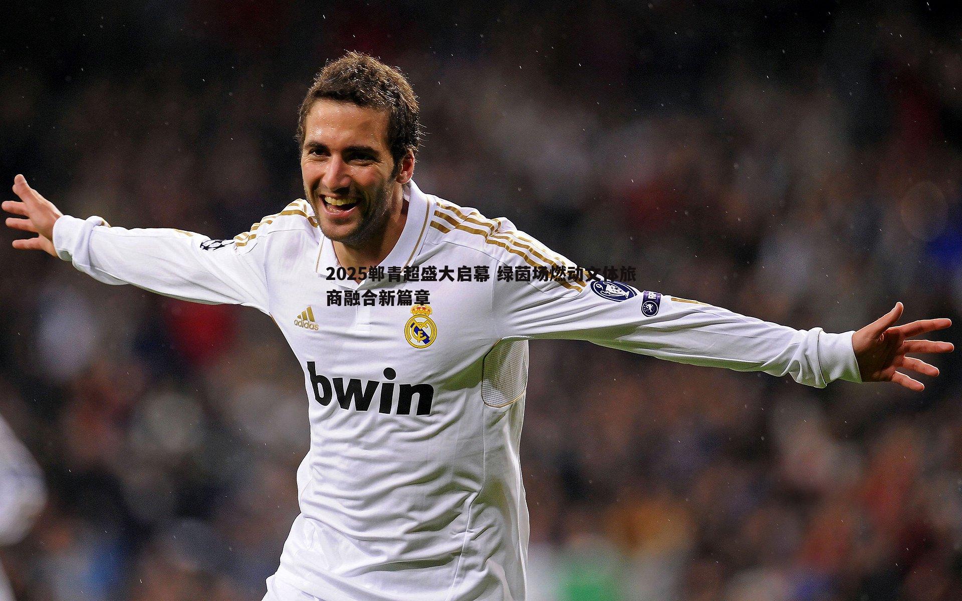 金年会-2025郸青超盛大启幕 绿茵场燃动文体旅商融合新篇章